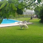 Maddy - Au Clos De Guest house