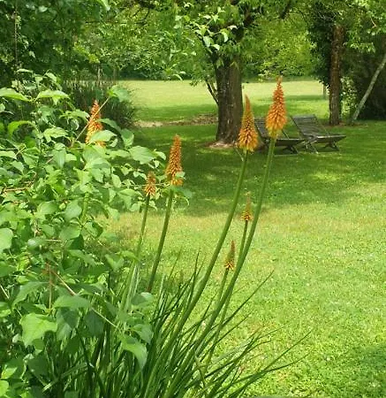 Maddy - Au Clos De Parranquet