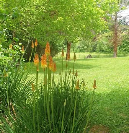 Maddy - Au Clos De Vendégház