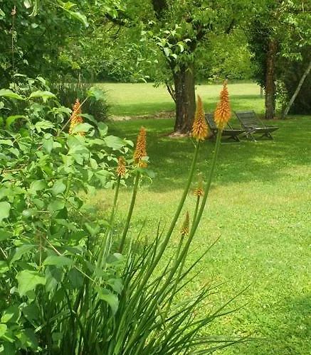 Maddy - Au Clos De Parranquet