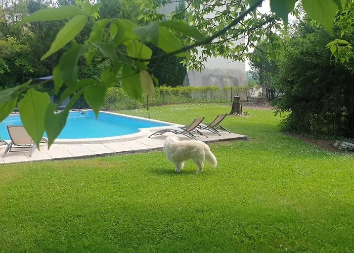 Maddy - Au Clos De Pensión